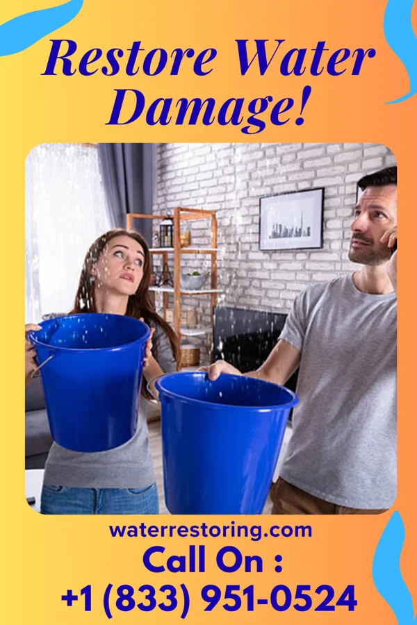 water restoration Diamond Water Mitigation Specialists Fidelis