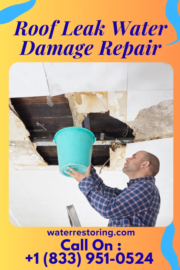 Roof Leak Water Damage Repair in Fidelis, FL